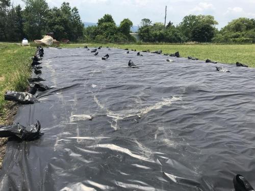 Heavy Duty Black Vinyl Tarp/Cover 75% Off!!